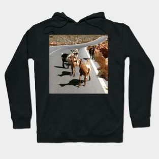 Funny Goat Hoodie